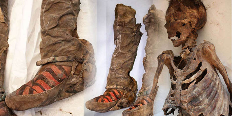 mongolia discovery tours 